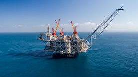 צילום: אלבטרוס